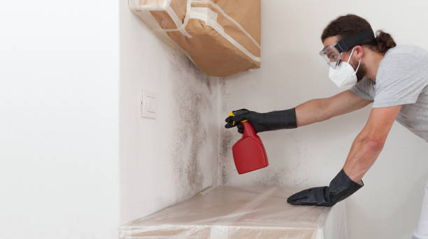 Professional Mold Testing technician working in Garden City, NY